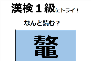 「鼇」の読み方、わかる？　爬虫類に分類される生物だよ【漢字クイズ】 画像