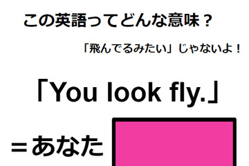 この英語ってどんな意味？「You look fly.」 画像