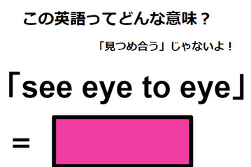 この英語ってどんな意味？「see eye to eye」 画像