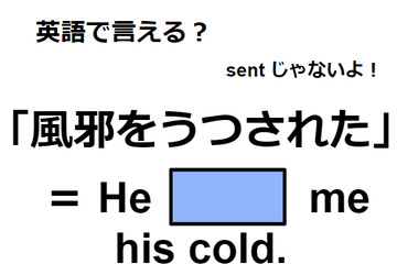 英語で「風邪をうつされた」ってなんて言う？ 画像