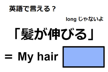 英語で「髪が伸びる」はなんて言う？ 画像