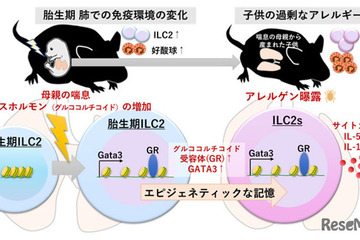 妊娠中の喘息・子供の喘息悪化のメカニズム解明…九州大 画像