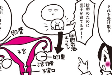 生理が起きる仕組みは、子宮だけではない。生理は、脳からスタートしていた！2種類の女性ホルモンが関係している仕組みをわかりやすくレクチャー【生理前モンスター#6】 画像