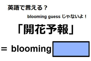 英語で「開花予報」はなんて言う？ 画像