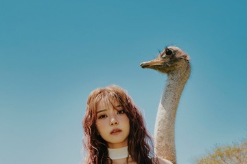 元櫻坂46小林由依「yousti（ユースティー）」としてソロデビュー決定 セルフプロデュースで音楽活動へ【コメント】 画像