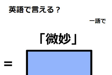 英語で「微妙」はなんて言う？ 画像