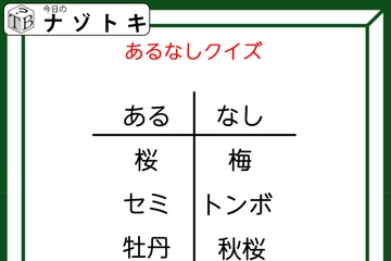 あるなしクイズです！「桜にあって梅にない！」答えは美味しいアレ！【難易度LV２.・甘口】 画像