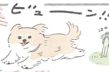 ドッグラン大好きむっく…他の犬にあいさつを…その後に待つことは?!【うちのむっくはいつも楽しそう #４】 画像