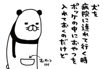 犬を病院に連れて行くときの必需品、それはオヤツ。しつこく嗅いでくる愛犬。バレてる？【パンダと犬 ＃17】 画像