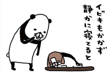 ヨボヨボの愛犬、14歳の梅吉。静かに寝てると思わず取ってしまう行動は？【パンダと犬 ＃24】 画像