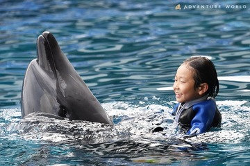 【夏休み2025】アドベンチャーワールドでイルカと泳ぐ体験…8/31まで 画像