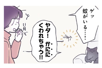 家の中に敵が侵入！みんなで必死に追いかけるも、蚊を退治したヒーローは…【やさしい世界で生きてたい るしこの子育て日記+ねこ #９】 画像