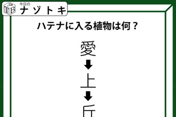 クイズです！「愛→上→丘→〇」〇に入る植物、なーんだ？順番に読んでみましょう【難易度LV2.・甘口】 画像