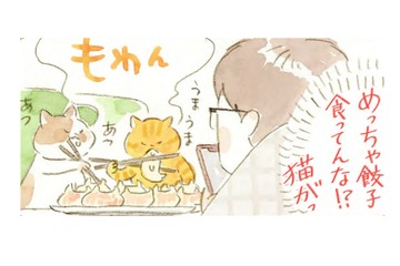 猫が見守る中で食べるニンニク３倍マシマシ餃子。真夜中に味わっているのは…!?【深夜３時のくろねこ喫茶  #６】 画像