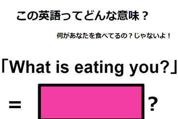 この英語ってどんな意味？「What is eating you?」 画像