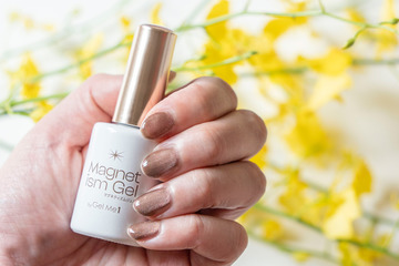 40代の働く女性は試さない理由がない!?トレンドの【セルフマグネットネイル】がコスパもタイパも仕上がりも想像以上だった件。 画像