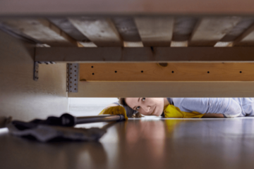 ベッドの下からの「ガサゴソ」と音がして違和感。恐る恐る覗いた瞬間⇒「力が抜けた」「なんとも愛おしい」 画像