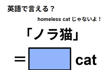 英語で「ノラ猫」は何て言う？ 画像