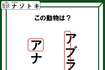 クイズです！「図が表す動物は何でしょうか？」ワクの位置も重要みたいですよ！【2025年度クイズ・ベストセレクション】 画像