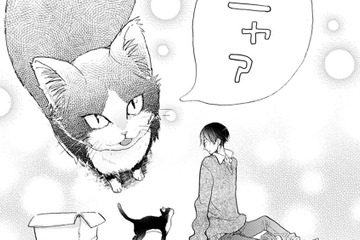 子どもの頃に読んだ絵本。太陽と月は友達だと思ったっけ… 猫の名前、決めた…【同居人はひざ、時々、頭のうえ。 #17】 画像