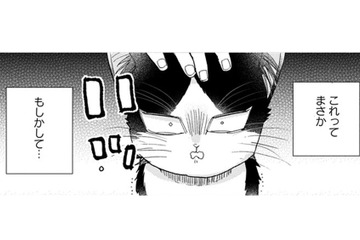 【猫視点】ごはんの言葉が聞こえた！ まだあるのかと思ったらない！だまされた～!!【同居人はひざ、時々、頭のうえ。 #31】 画像