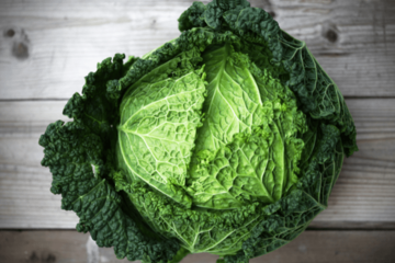 買ったキャベツを廊下に放置→しかし次の瞬間…愛犬の”まさかの行動”に「何これ！」 画像