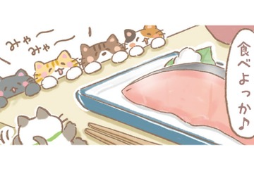 「食べよっか」自炊ご飯もこれからは猫ちゃんといっしょ。しかもメニューは好物の魚！【あなたとくらし隊！ちびっ福 #９】 画像