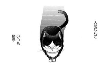 【猫視点】せっかく守ってあげてたのに、急に扉を締められた！ やっぱり私の居場所じゃなかった!!【同居人はひざ、時々、頭のうえ。 #51】 画像