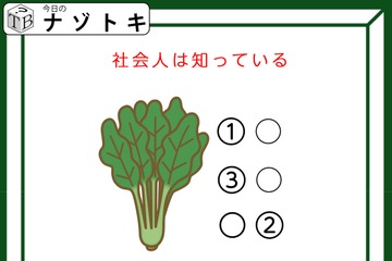 クイズです！「野菜を含めた３つの単語を考えましょう」社会人として大切ですよね【難易度LV３.・中辛】 画像