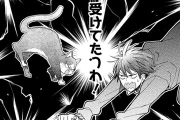 【猫視点】また人間が倒れていたけど、今日はいつになく真剣な顔！これは… 勝負ね!!【同居人はひざ、時々、頭のうえ。 #61】 画像