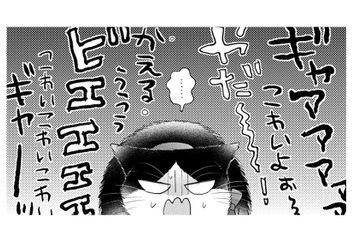 【猫視点】連れて来られたのは色んな子が泣いたり叫んだりしている場所！ ここは一体何なの？【同居人はひざ、時々、頭のうえ。 #69】 画像