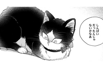 【猫視点】ぐったりしてると犬が話しかけてきた。あの子が私の事を心配してる？家族って何？【同居人はひざ、時々、頭のうえ。 #71】 画像