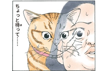 いつの間にかしっぽが２本に…動揺していたら人間にぶつかり、猫と人が入れ替わる!?【かのこちゃんとマドレーヌ夫人 #９】 画像