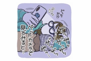 「ザッザッザッ」夜に響くトイレ音…ペットカメラに映っていたのは？【猫がおしりを向けてきます #２】 画像