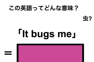 この英語ってどんな意味？「It bugs me」 画像