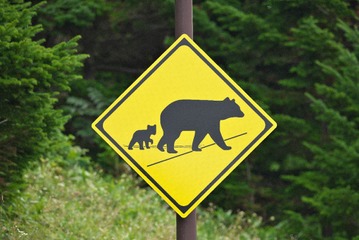 命よりも仕事⁉ クマの気配に怯え、混浴の露天風呂で見知らぬ女性と星空を眺める。63歳で山小屋の歩荷バイト、やってみた 画像