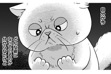 魔術師が作った液体をかけられたら、猫になっちゃった！早く神殿に帰りたい！【根暗騎士による溺愛満喫中のブサ猫、実は聖女です！#19】 画像