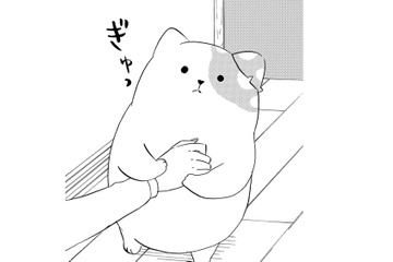 「好きだから」気持ちを伝えるきのこいぬ…だけど、その本心はうまく伝わらなくて【きのこいぬ #９】 画像