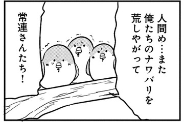 「縄張りを荒らしたな」掃除が気に入らない常連スズメたちが、店の中で大暴れ！【とりきっさ！ #10】 画像