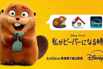 ピクサー史上衝撃度No.1『私がビーバーになる時』ディズニープラスで6月10日より独占配信 画像