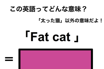 この英語ってどんな意味？「Fat cat」 画像