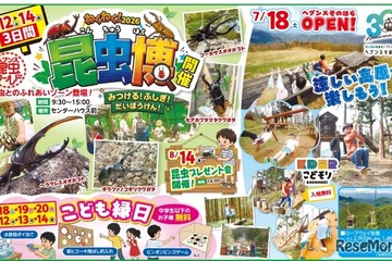 【夏休み2026】約100匹が集結「昆虫博」富士見台高原 画像