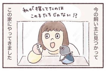 同じ誕生日、同じケースにいた2羽のインコ。偶然の出会いから始まるインコとの暮らし【うちのインコたちは今日もおしゃべり #１】 画像