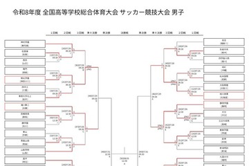高校サッカー男子インターハイ、桐光や桐蔭が8強入り…ベスト8出揃う 画像