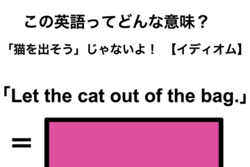 この英語ってどんな意味？「Let the cat out of the bag.」 画像