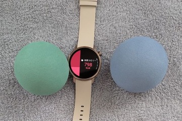 「みんなApple Watch？ 私、シャープなんだけど」付けっぱなしでカロリーを自動記録する“近未来スマートウォッチ”でズボラ体重管理 画像