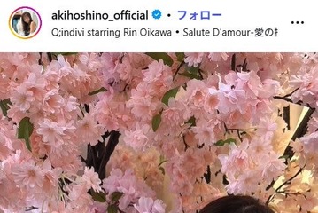 ほしのあき「16年目もよろしくお願いします」夫との結婚記念日ショット公開に「美男美女でお似合い」の声 篠田麻里子からも祝福のコメント 画像