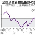 全国消費者物価指数の動き