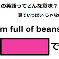 この英語ってどんな意味？「I’m full of beans.」