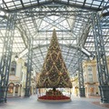 恒例のホリデーパレードがファイナル！「カントリーベア・シアター」もX'mas仕様に TDLのクリスマス